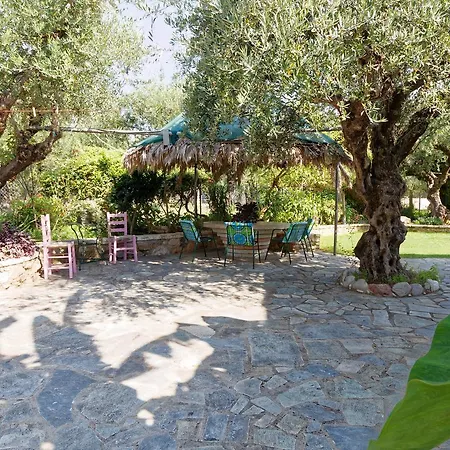Apartment Athina Agios Andreas (Messenia)